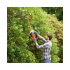 Ψαλίδι Μπορντούρας Ρεύματος 550W Black+Decker 5 Ψαλίδι Μπορντούρας Ρεύματος 550W Black+Decker - Image 2