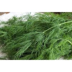 Άνιθος Tetra | 500gr