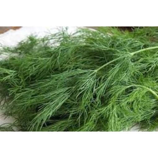 Άνιθος Tetra | 500gr
