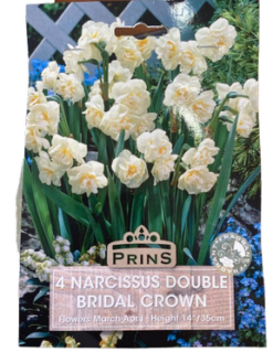 Ναρκισσάκια " Bridal Crown"