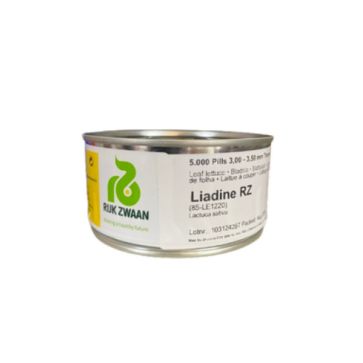 Μαρούλι Lolla Πράσινη Liadine RZ | 5000 Pellets 4 Μαρούλι Lolla Πράσινη Liadine RZ | 5000 Pellets - Image 4