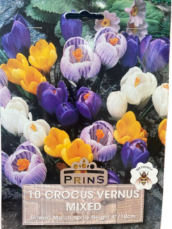 Κρόκος Vernus Μίγμα