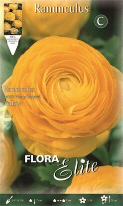 Νεραγκούλα "Asiatic yellow"