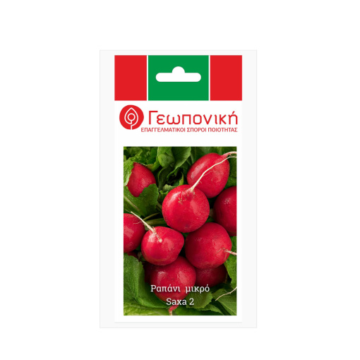 Ραπάνι Μεγάλο Saxa 2 | 25gr