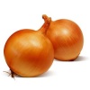 ORLANTO1