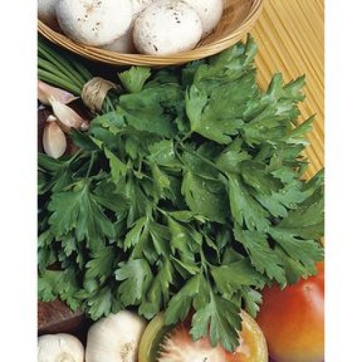 Μαϊντανός Gigante | 500gr
