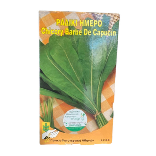 Ραδίκι Ήμερο | 500gr